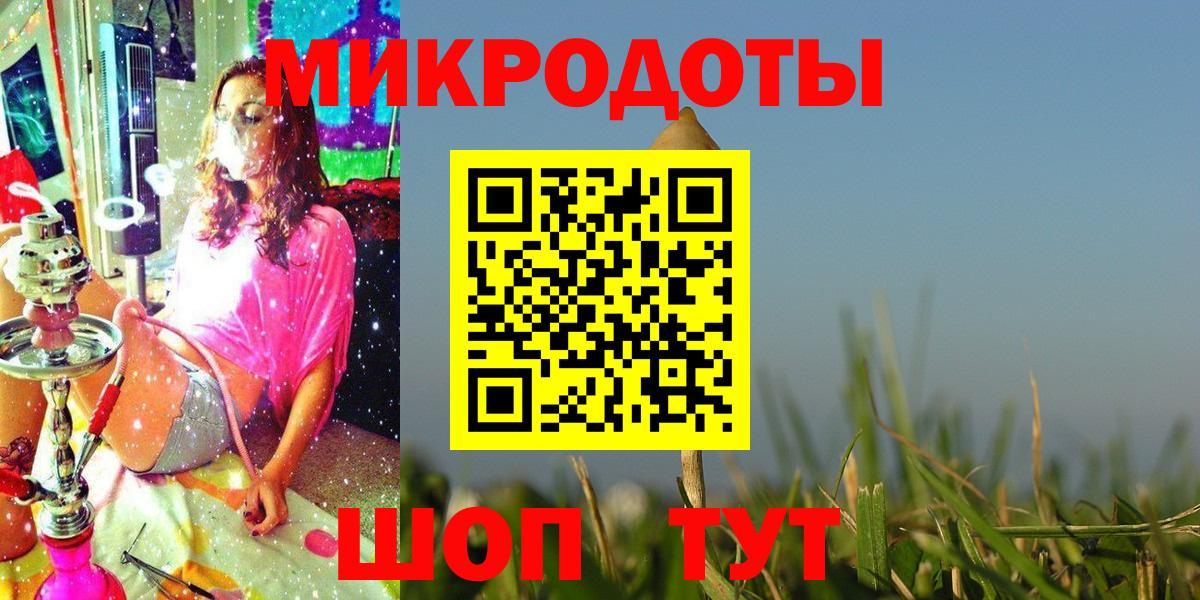 Галлюциногенные грибы Psilocybe Ялта