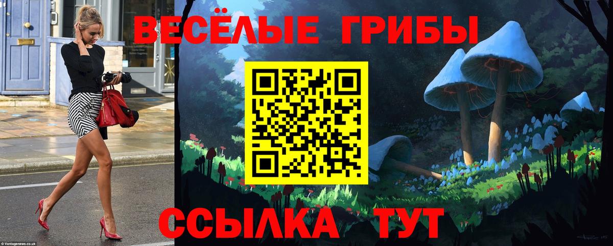 Ялта  Галлюциногенные грибы прущие грибы  Вход с VPN  Псилоцибиновые грибы мицелий 